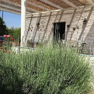 https://casa-dei-limoni-noto.sicilyhotelsitaly.net
